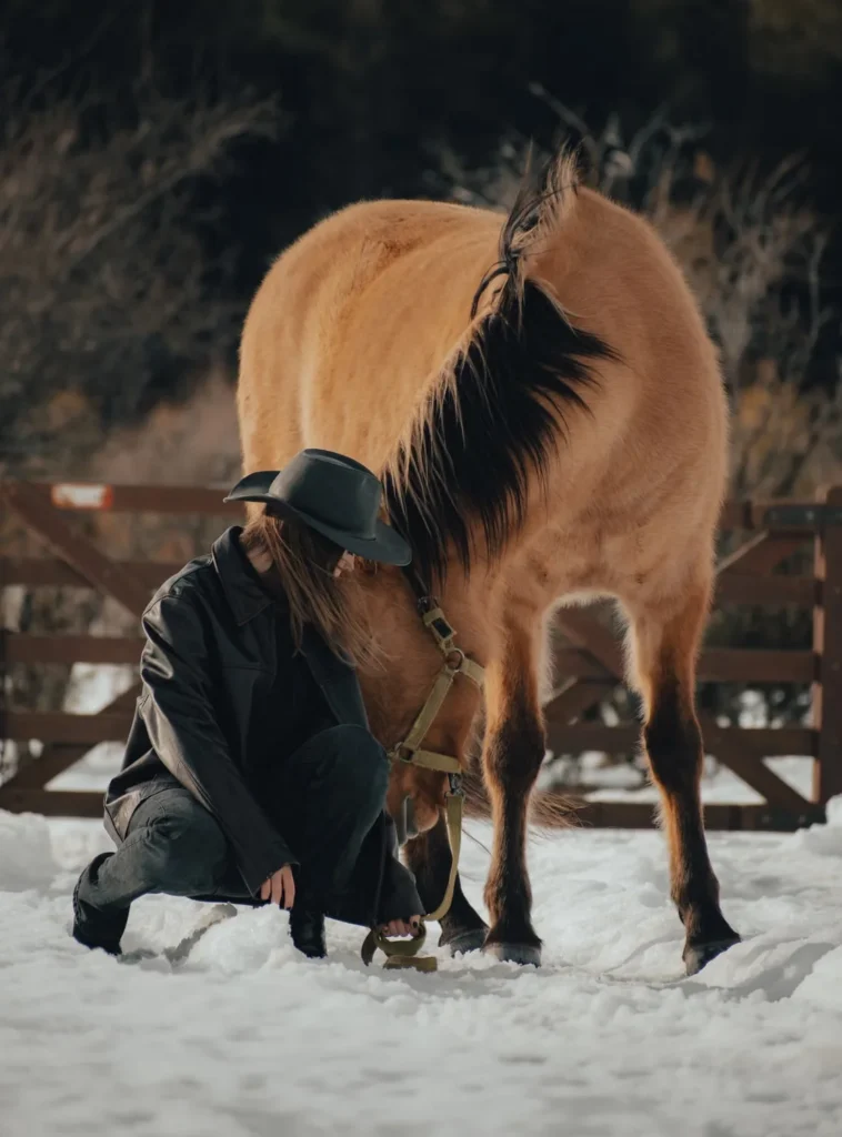 horse lover christmas gifts