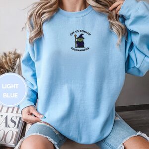 Person wearing a light blue Wizard Frog Embroidered Sweatshirt