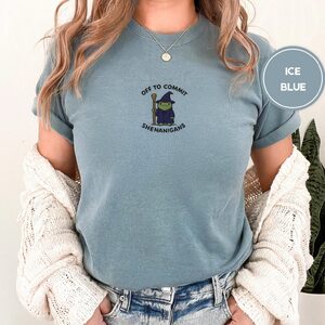 Person wearing an ice blue Wizard Frog Shenanigans Embroidered T-Shirt